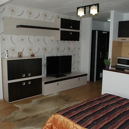 Studioul Iris Apartman